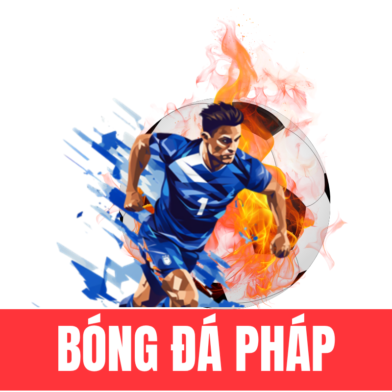 Bóng đá Pháp