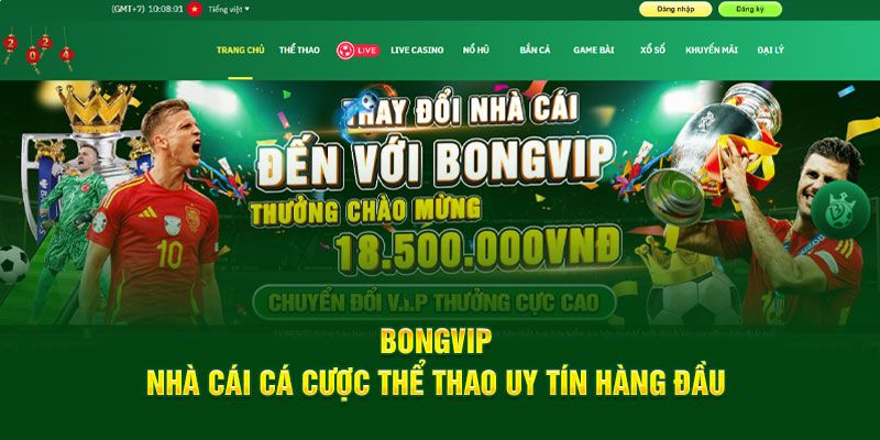 Bongvip - Phân tích và đánh giá toàn diện về nhà cái trực tuyến
