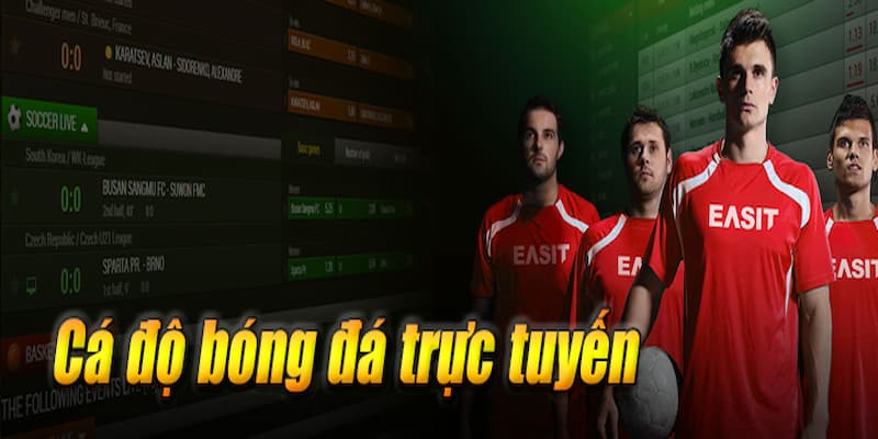 tại sao chơi cá cược bongvip